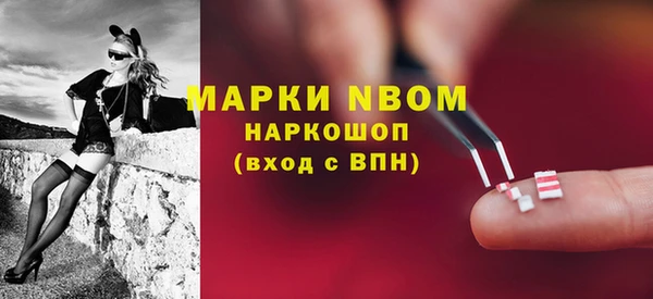 индика Магадан