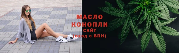 индика Магадан