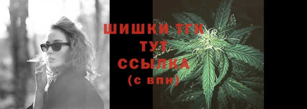 индика Магадан