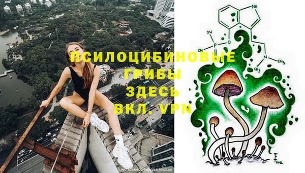 индика Магадан