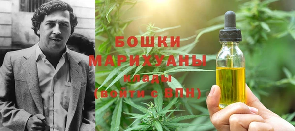 индика Магадан