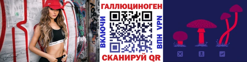 Купить где  Можайск  Псилоцибиновые грибы Cubensis 
